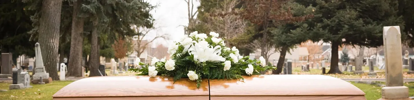  Artikel banner