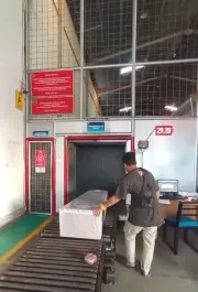 Cargo Jenazah Cargo Jenazah Morowali Jakarta ~blog/2025/8/28/cargo jenazah morowali jakarta