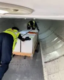 Cargo Jenazah Human Remains Funeral Cargo Deceased Repatriation Service from Indonesia to Belgium ~dl/2026/4/24/human remains funeral cargo deceased repatriation service from indonesia to belgium