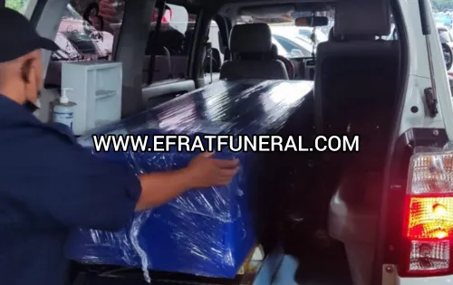 Cargo Jenazah Cargo Jenazah Jakarta Tual 1 ~dl/2026/5/11/cargo_jenazah_jakarta_tual