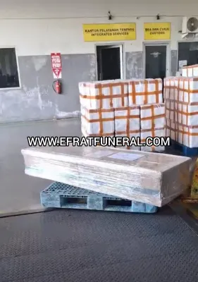 Cargo Jenazah Cargo Jenazah Jakarta Larantuka 1 ~dl/2026/5/13/cargo_jenazah_jakarta_larantuka