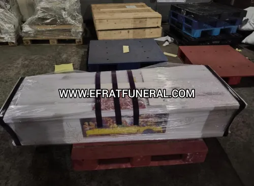 Cargo Jenazah Cargo Jenazah Balikpapan Jakarta  1 ~dl/2026/5/14/cargo_jenazah_balikpapan_jakarta