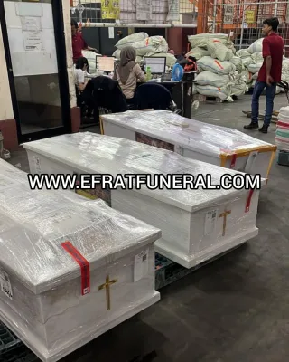 Cargo Jenazah Cargo Jenazah Jambi Jakarta 1 ~dl/2026/5/15/cargo_jenazah_jambi_jakarta