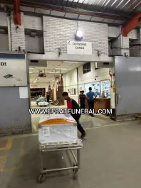 Cargo Jenazah Human Remains Funeral Cargo Deceased Repatriation Service from Indonesia to Finland  ~dl/2026/5/2/human remains funeral cargo deceased repatriation service from indonesia to finland