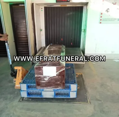 Cargo Jenazah Cargo Jenazah Jakarta Mamuju 1 ~dl/2026/5/22/cargo_jenazah_jakarta_mamuju
