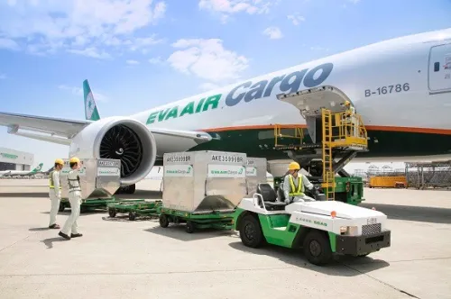 Cargo Jenazah Human Remains Funeral Cargo Deceased Repatriation Service from Indonesia to Taiwan 1 ~dl/2026/5/31/human_remains_funeral_cargo_deceased_repatriation_service_from_indonesia_to_taiwan