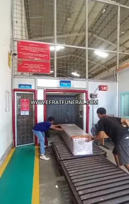 Cargo Jenazah Cargo Jenazah Bali Pontianak 1 ~dl/2026/5/6/cargo_jenazah_bali_pontianak