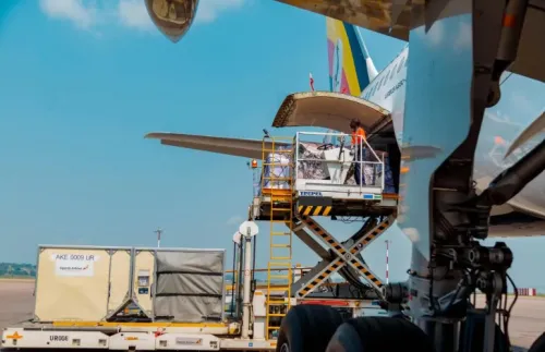 Cargo Jenazah Human Remains Funeral Cargo Deceased Repatriation Service from Indonesia to Uganda 1 ~dl/2026/6/3/human_remains_funeral_cargo_deceased_repatriation_service_from_indonesia_to_uganda